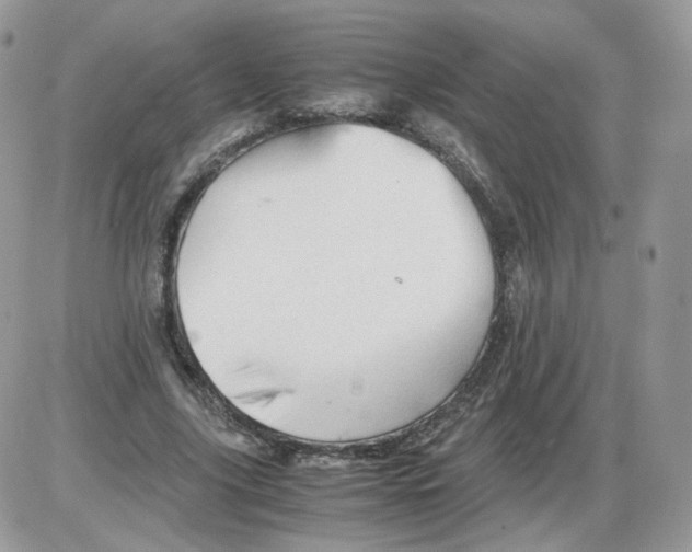 X0000086090635200704202217