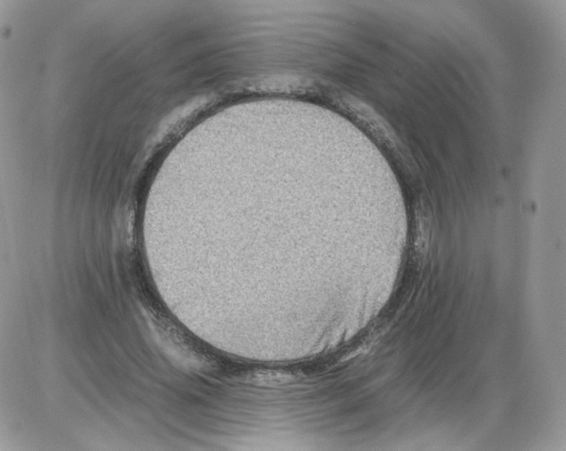 X0000086090636200704202217