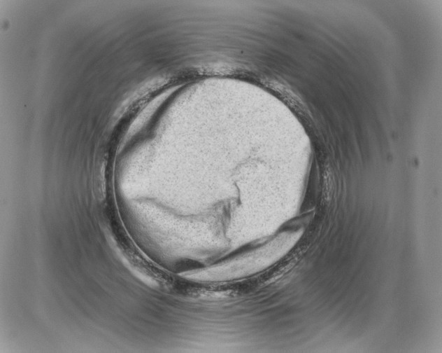 X0000086090638200704202217