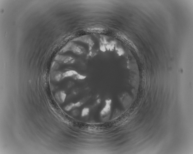 X0000086090641200704202217