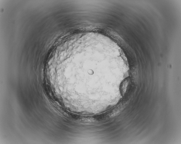 X0000086090642200704202217