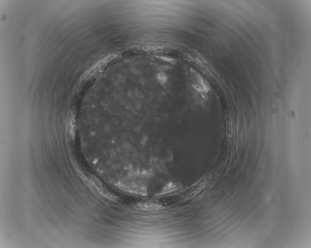 X0000086090644200704202217