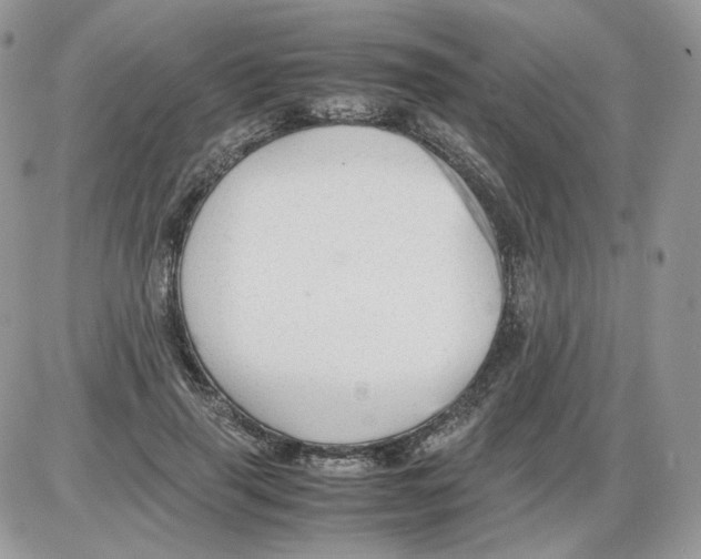 X0000086090645200704202217