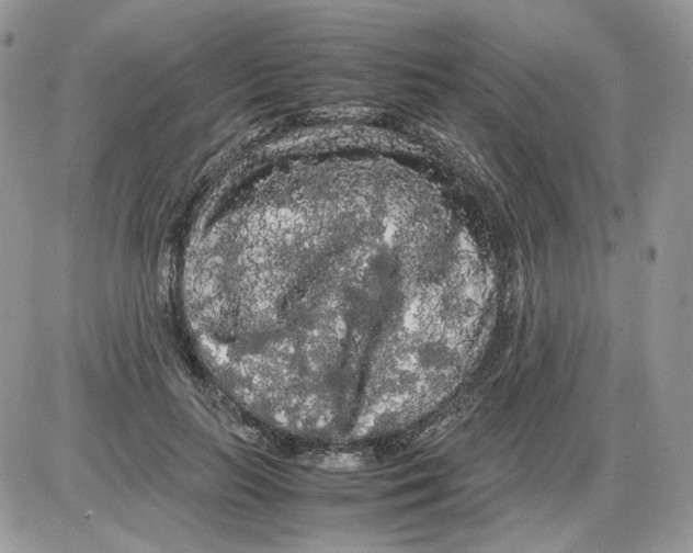 X0000086090647200704202217