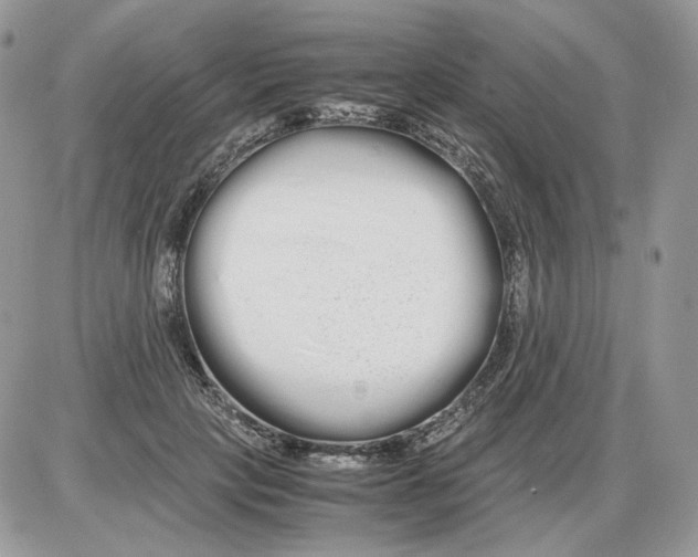 X0000086090649200704202217