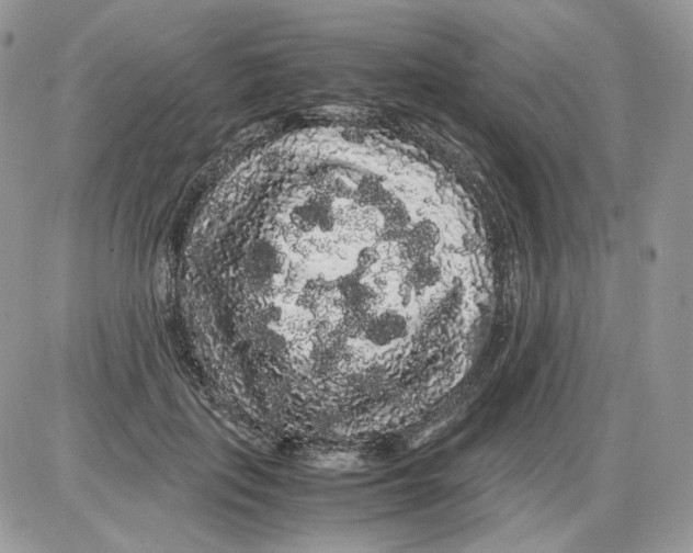 X0000086090651200704202217