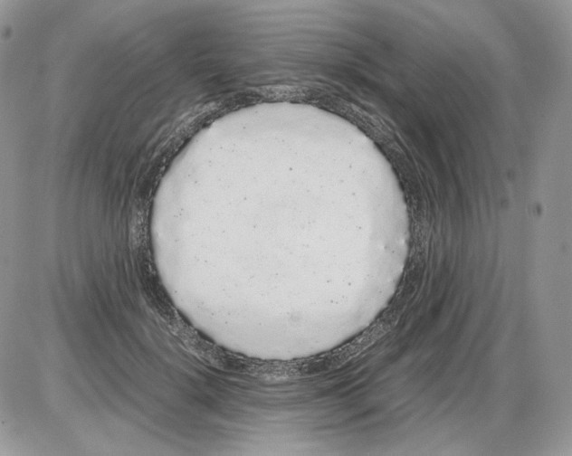 X0000086090652200704202217