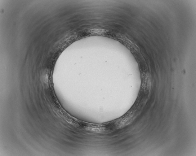 X0000086090655200704202217