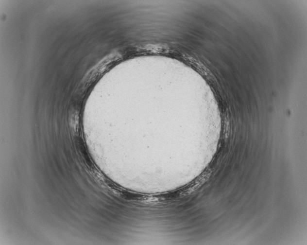 X0000086090656200704202217