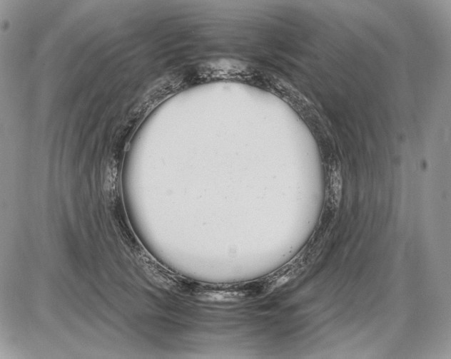 X0000086090657200704202217