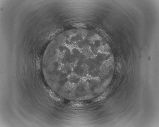 X0000086090658200704202217