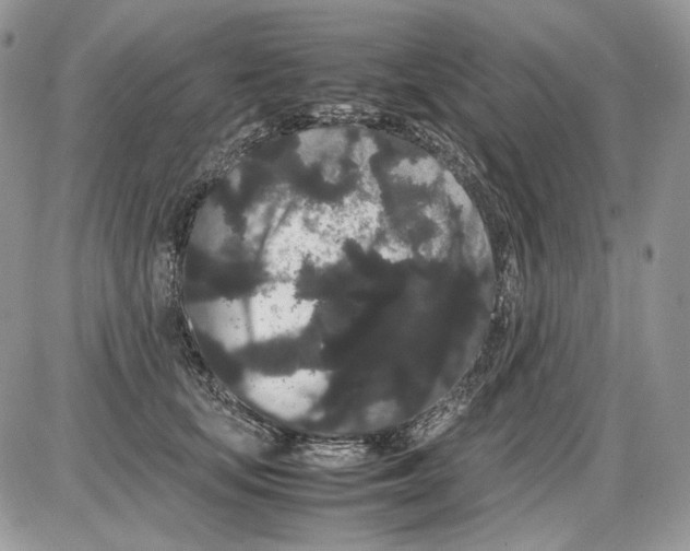 X0000086090659200704202217