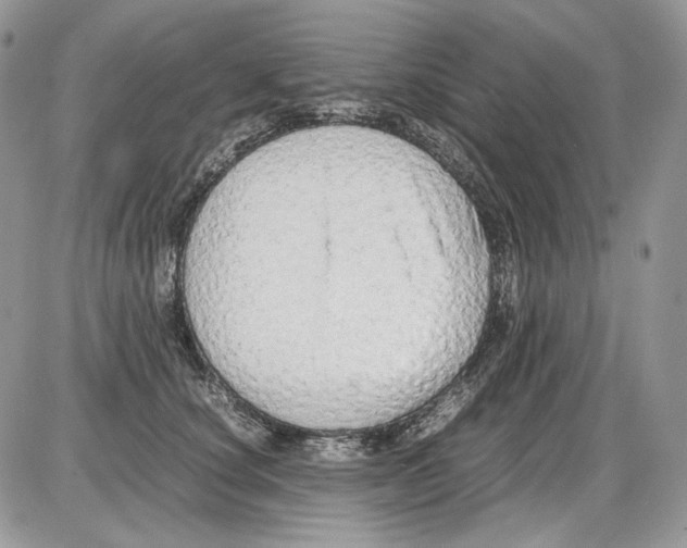 X0000086090660200704202217