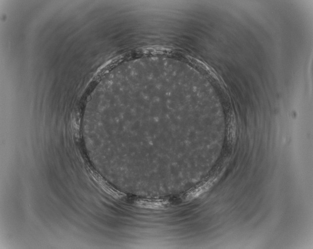 X0000086090661200704202217