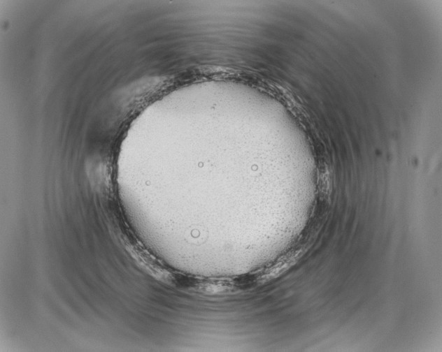 X0000086090662200704202217