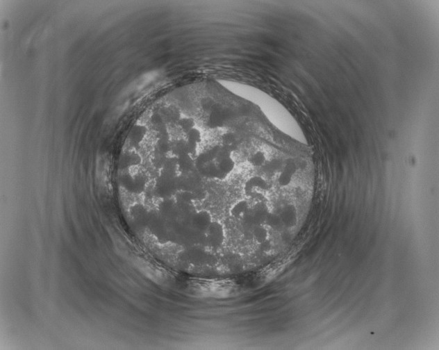 X0000086090663200704202217