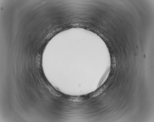 X0000086090664200704202217