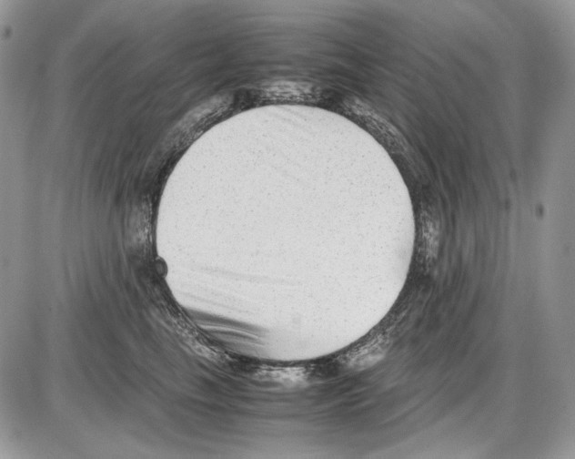 X0000086090665200704202217