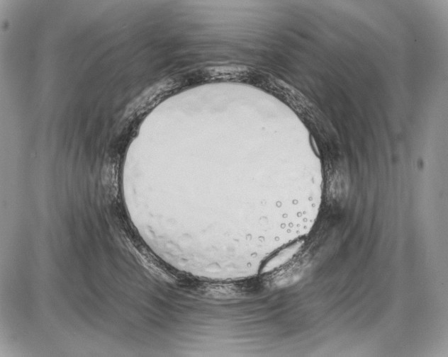 X0000086090666200704202217