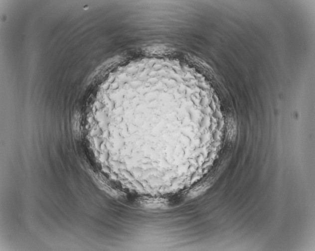 X0000086090670200704202217