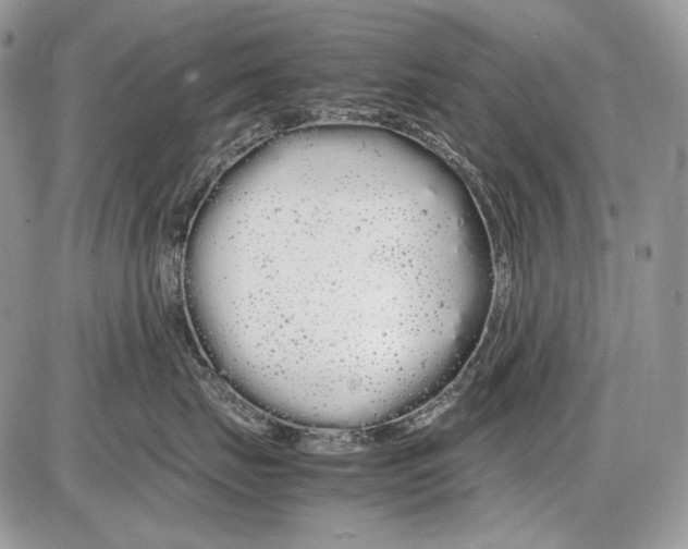 X0000086090671200704202217