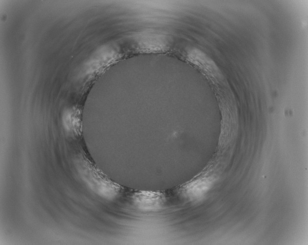 X0000086090672200704202217