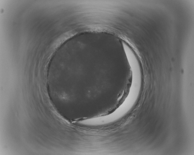 X0000086090673200704202217