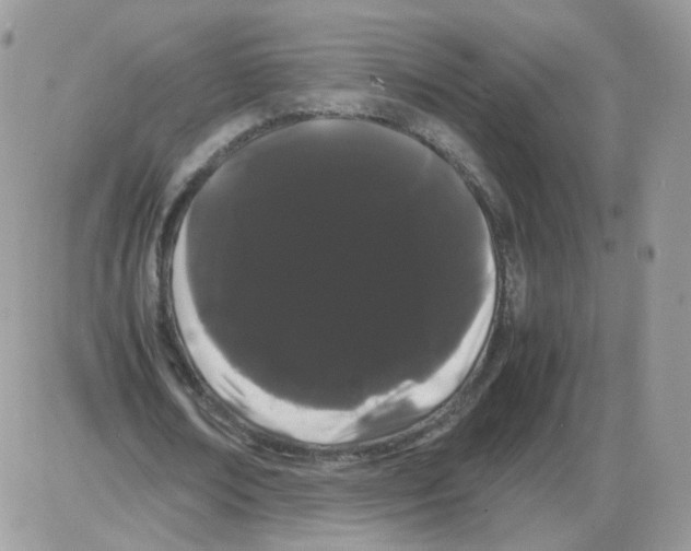 X0000086090674200704202217