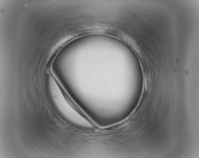 X0000086090675200704202217