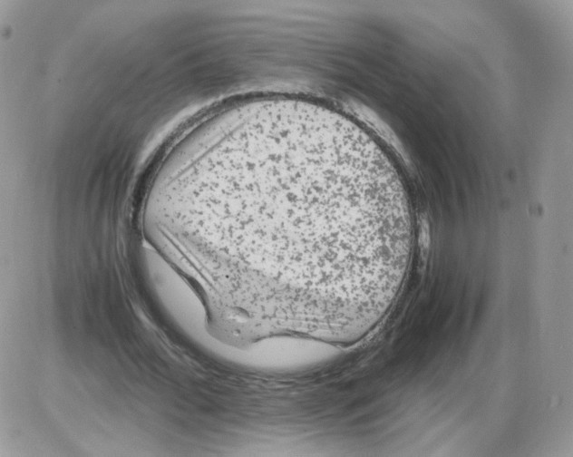 X0000086090676200704202217