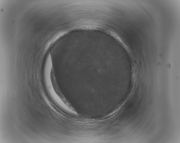 X0000086090677200704202217