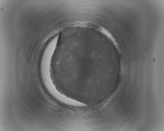 X0000086090681200704202217