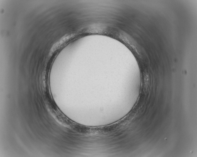 X0000086090682200704202217