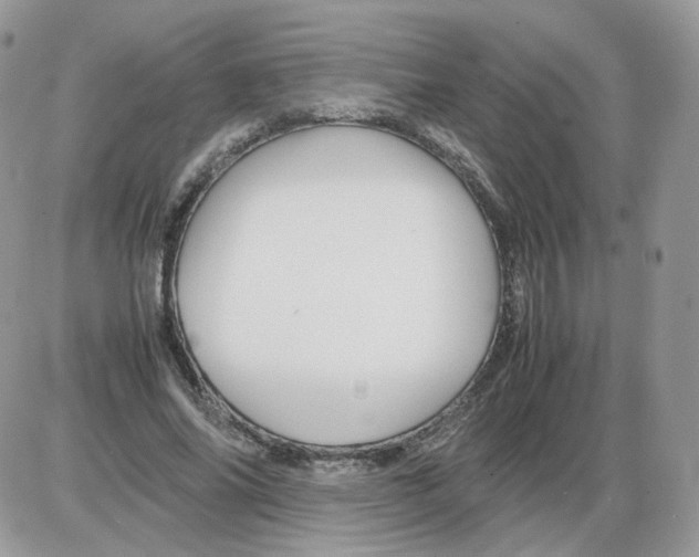 X0000086090686200704202216