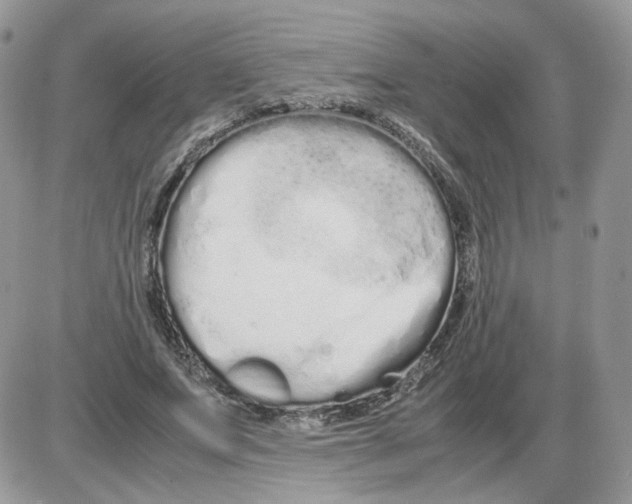 X0000086090687200704202216