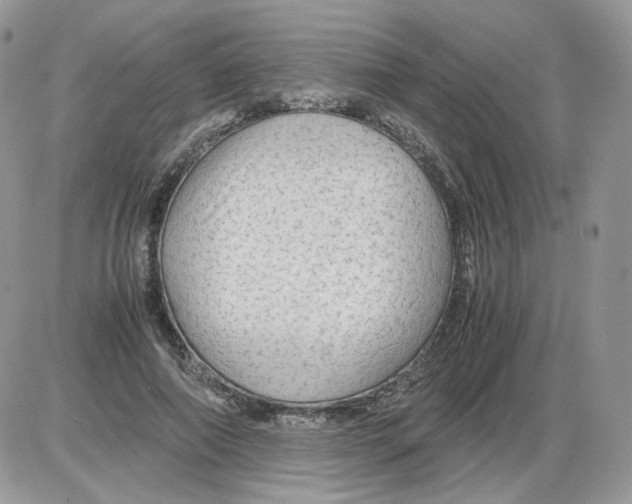 X0000086090690200704202216