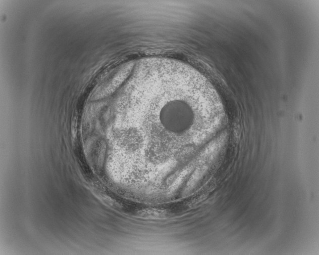 X0000086090691200704202216