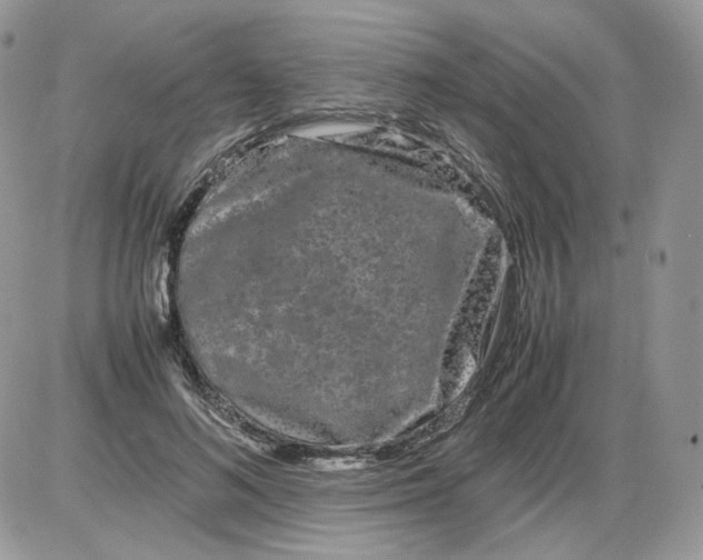 X0000086090692200704202216