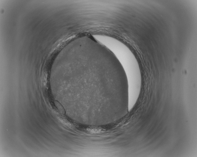 X0000086090693200704202216