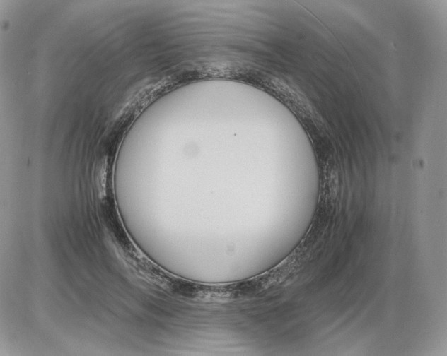 X0000086090694200704202216