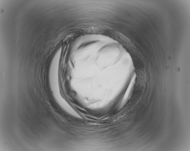 X0000086090695200704202216