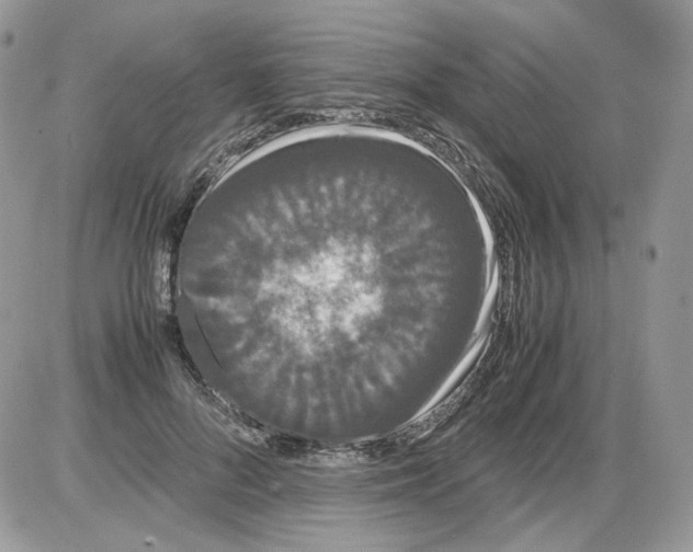 X0000086090696200704202216