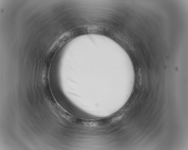 X0000086090698200704202216