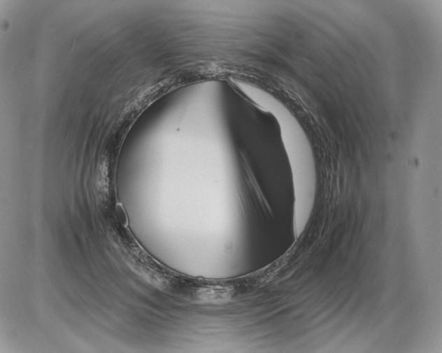 X0000086090700200704202216