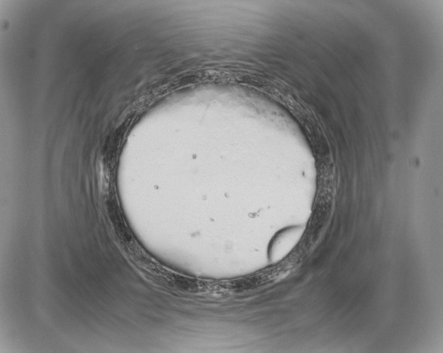 X0000086090703200704202216