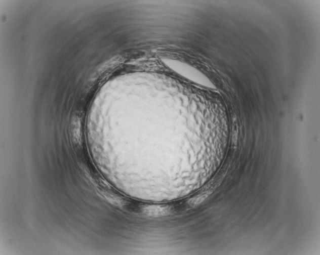 X0000086090704200704202216