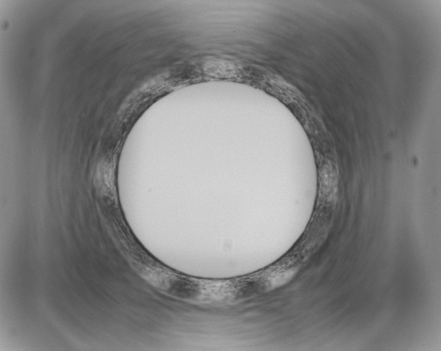 X0000086090705200704202216