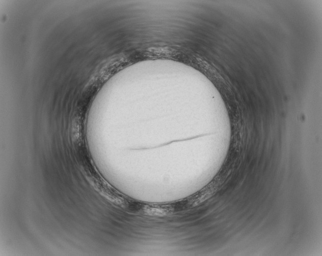 X0000086090706200704202216