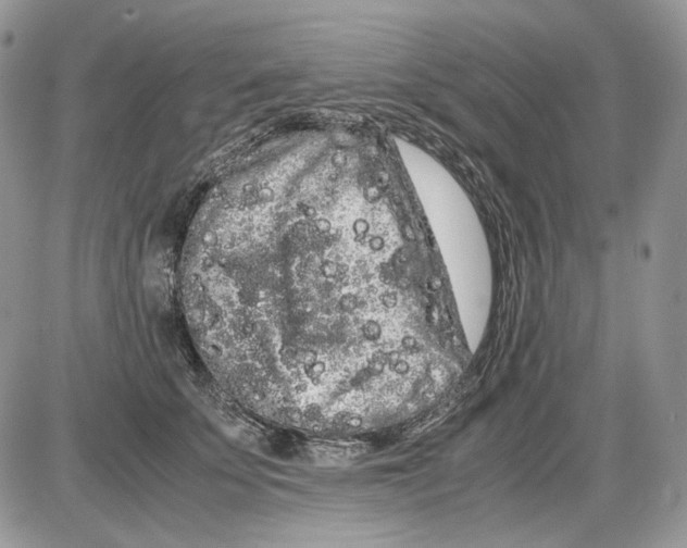 X0000086090707200704202216