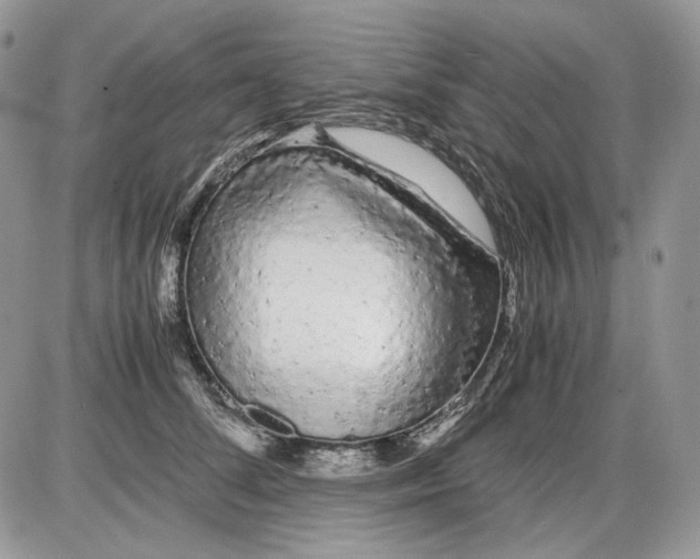 X0000086090708200704202216